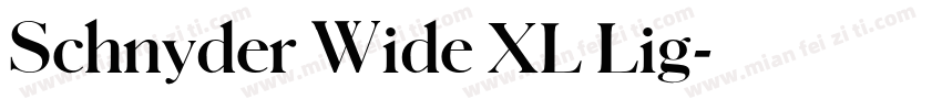 Schnyder Wide XL Lig字体转换